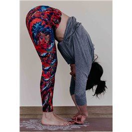 Mallas largas Sistema circulatorio & nervioso 2