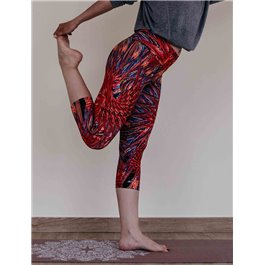 Mallas piratas Celulitis & sistema linfático 2