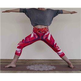 Mallas piratas HCMUCE  2