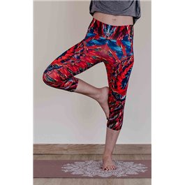 Mallas piratas Sistema circulatorio & nervioso 2