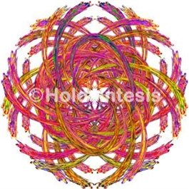 Holopuntos 14 meridianos 2