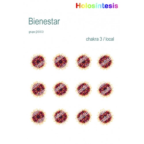 Holopuntos Bienestar