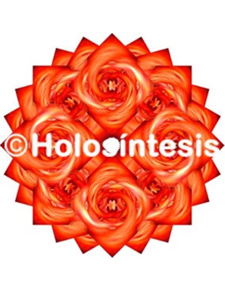 Holopuntos Chakra 1 Muladhara