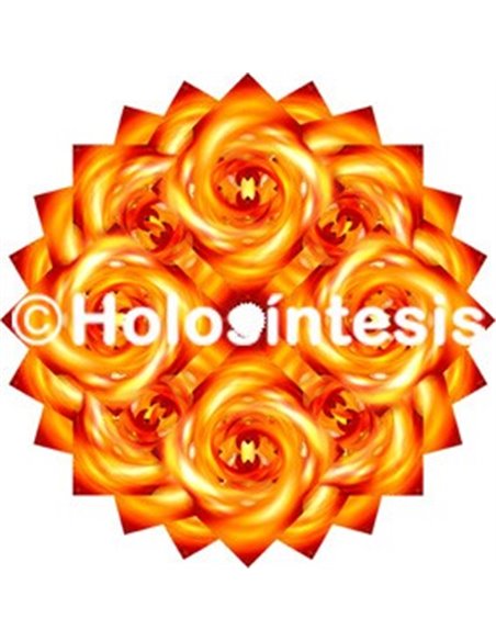 Holopuntos Chakra 2 Swadhisthana