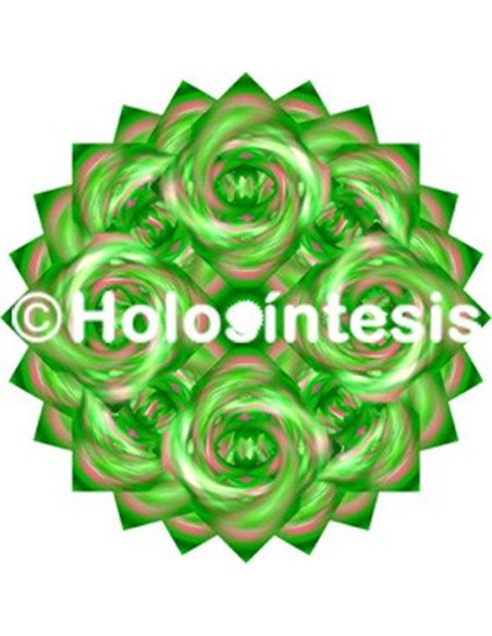 Holopuntos Chakra 4 Anahata