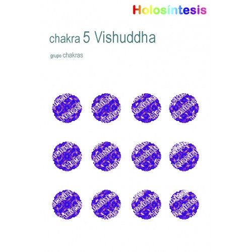 Holopuntos Chakra 5 Vishuddha