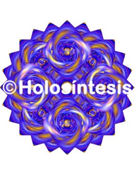 Holopuntos Chakra 5 Vishuddha