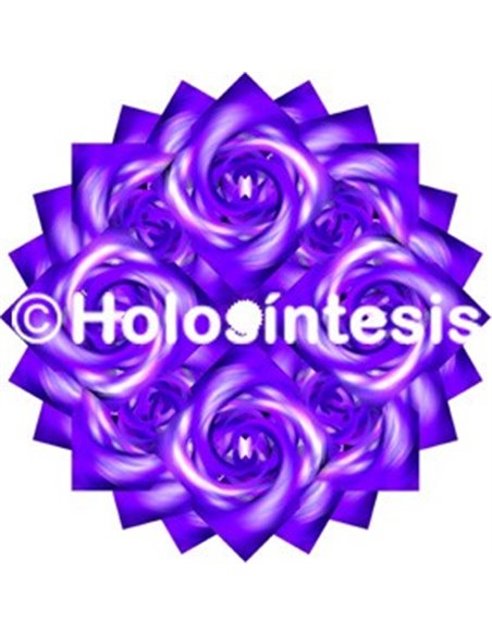 Holopuntos Chakra 6 Ajna