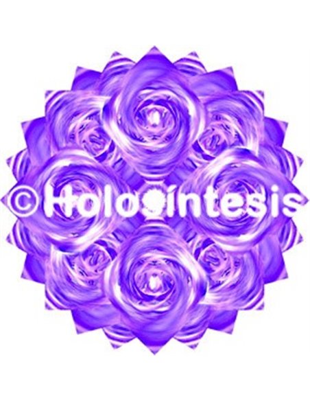 Holopuntos Chakra 7 Sahasrara