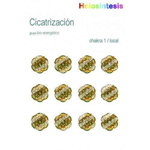 Holopuntos Cicatrización