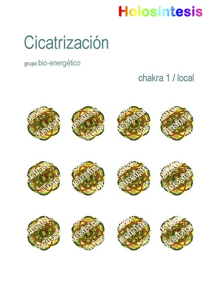 Holopuntos Cicatrización