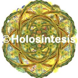 Holopuntos Cicatrización 2