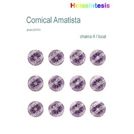 Holopuntos Cornical amatista