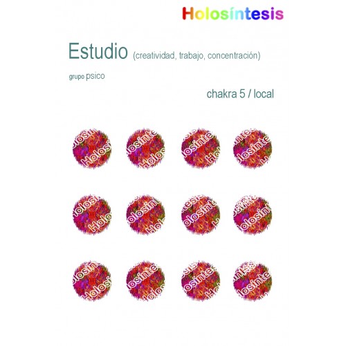 Holopuntos Estudio