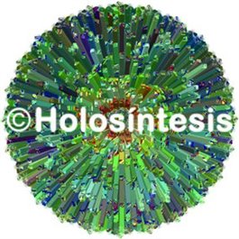 Holopuntos Gozar de la abundancia 2