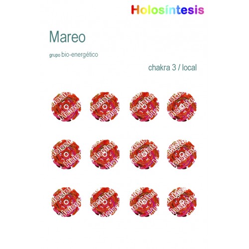 Holopuntos Mareos 01