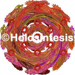 Holopuntos Mareos 01 2