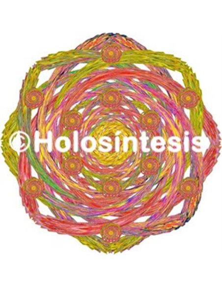 Holopuntos Osteomuscular