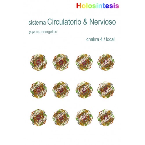 Holopuntos Sistema circulatorio & nervioso