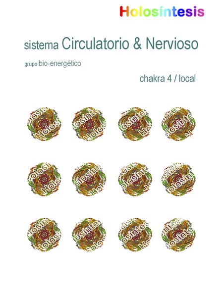 Holopuntos Sistema circulatorio & nervioso