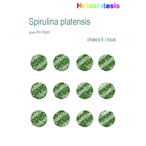 Holopuntos Spirulina platensis