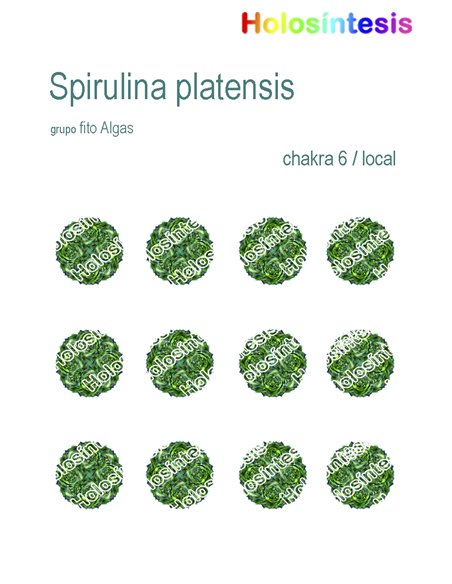 Holopuntos Spirulina platensis