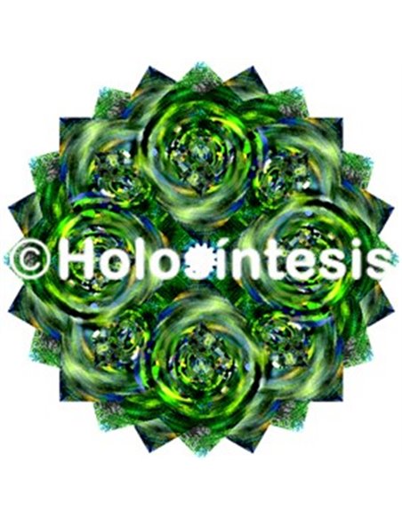 Holopuntos Spirulina platensis
