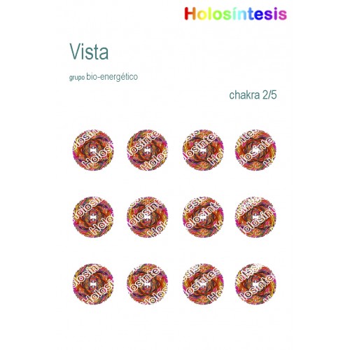 Holopuntos Vista